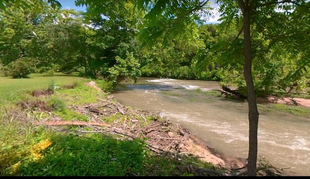 4579 Bayou Access Rd, Mammoth Spring, AR 72554 - view of yard