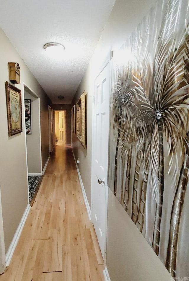 9 Apple Tree Cir, Little Rock, AR 72210 - hall featuring light wood-type flooring and baseboards