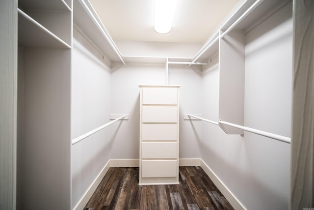 2330 Tyler St, Conway, AR 72034 - spacious closet with dark wood finished floors