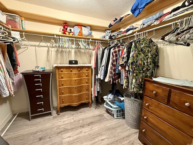 spacious closet featuring light wood-type flooring