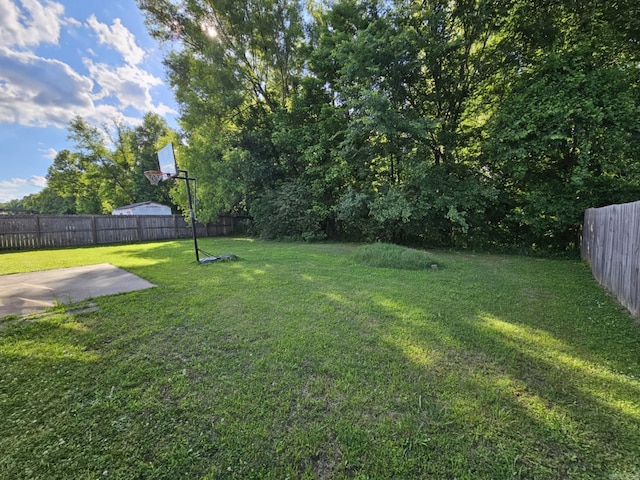 216 Plum Dr, Austin, AR 72023 - view of yard