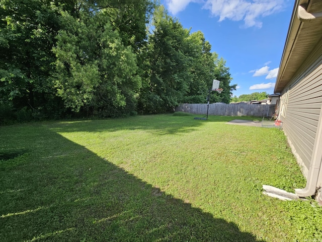 216 Plum Dr, Austin, AR 72023 - view of yard
