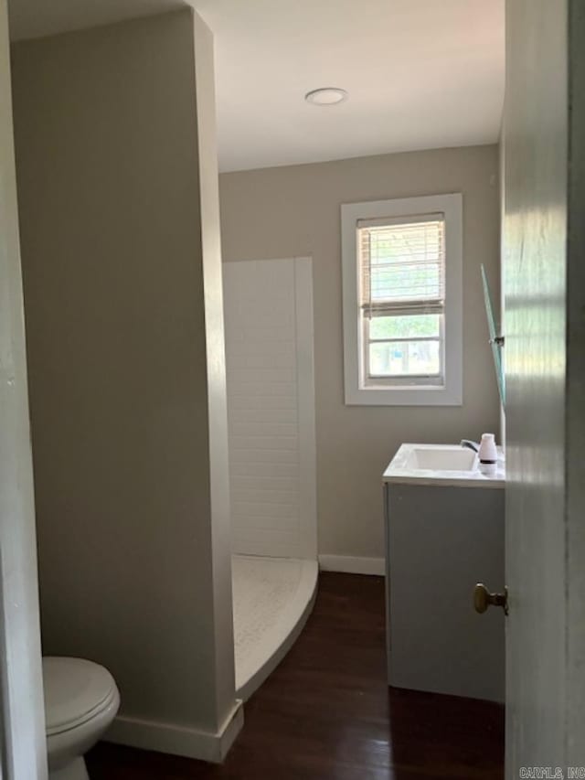 301 Coil, Steele, MO 63877 - bathroom featuring vanity, baseboards, toilet, wood finished floors, and a walk in shower