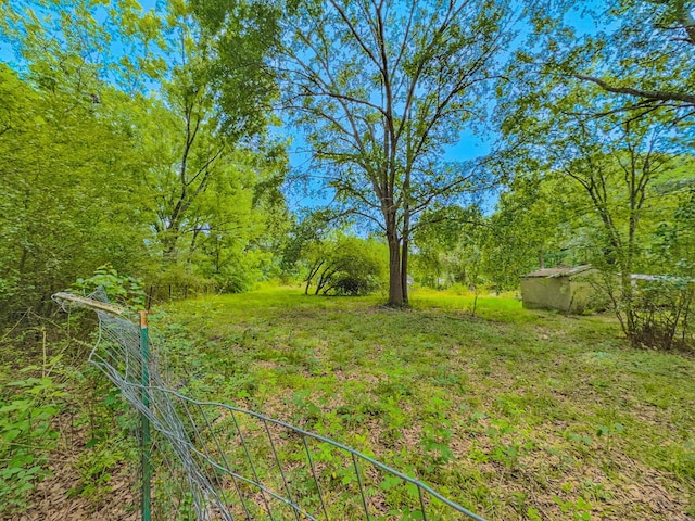 3106 Edison Ave, Benton, AR 72015 - view of yard