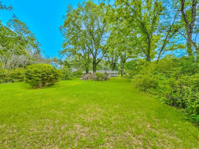 3106 Edison Ave, Benton, AR 72015 - view of green lawn