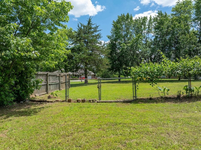 view of yard with a gate