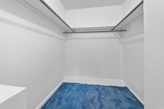 6500 W 12th St, Little Rock, AR 72204 - spacious closet with carpet