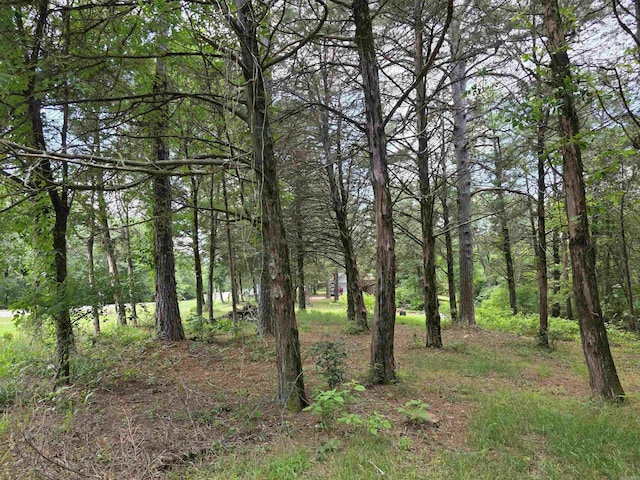 535 Ridgeview Ln, Russellville, AR 72802 - view of woods