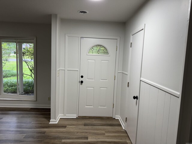 foyer with healthy amount of natural light and dark wood-type flooring