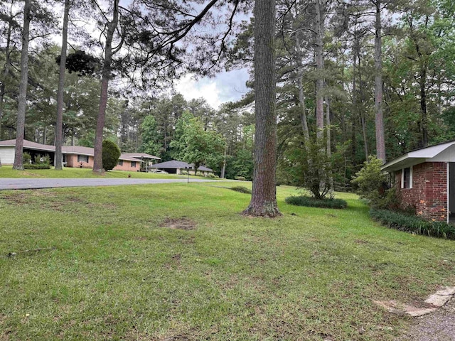 view of green lawn featuring asphalt driveway