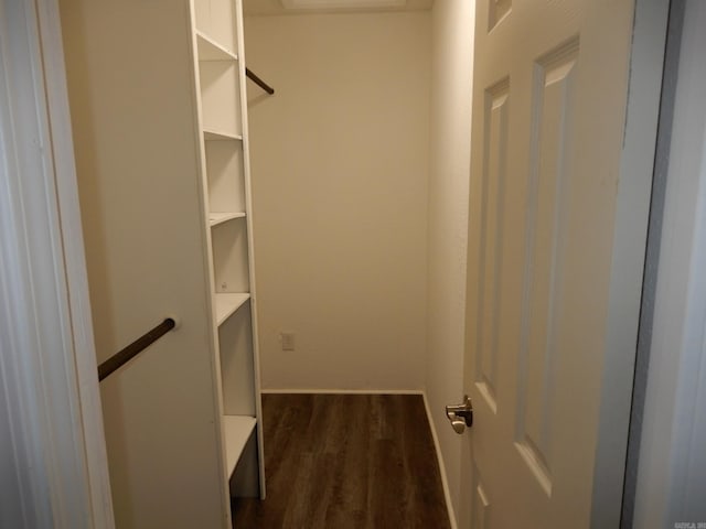 100 Douglas, Judsonia, AR 72180 - walk in closet with dark wood-type flooring