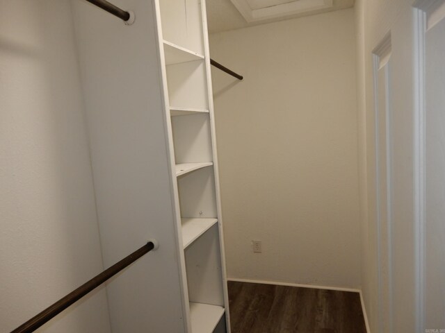 100 Douglas, Judsonia, AR 72180 - spacious closet featuring dark wood finished floors