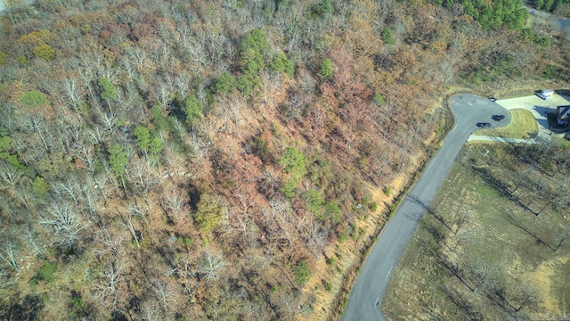 1320 Sawyer Ln, Conway, AR 72032