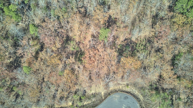 1320 Sawyer Ln, Conway, AR 72032