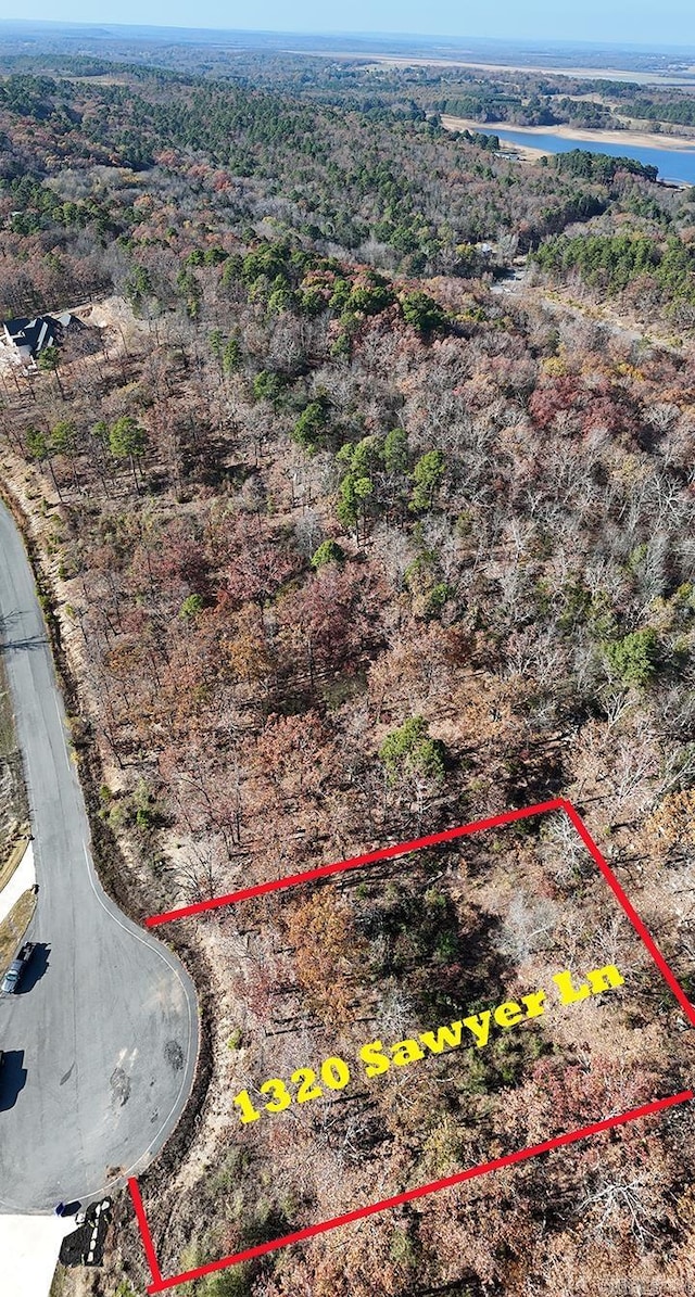 1320 Sawyer Ln, Conway, AR 72032