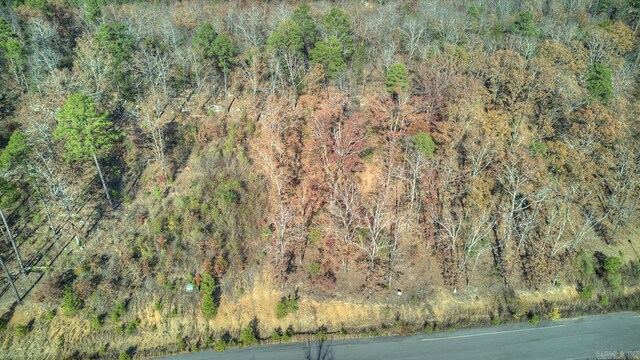 1350 Sawyer Ln, Conway, AR 72032