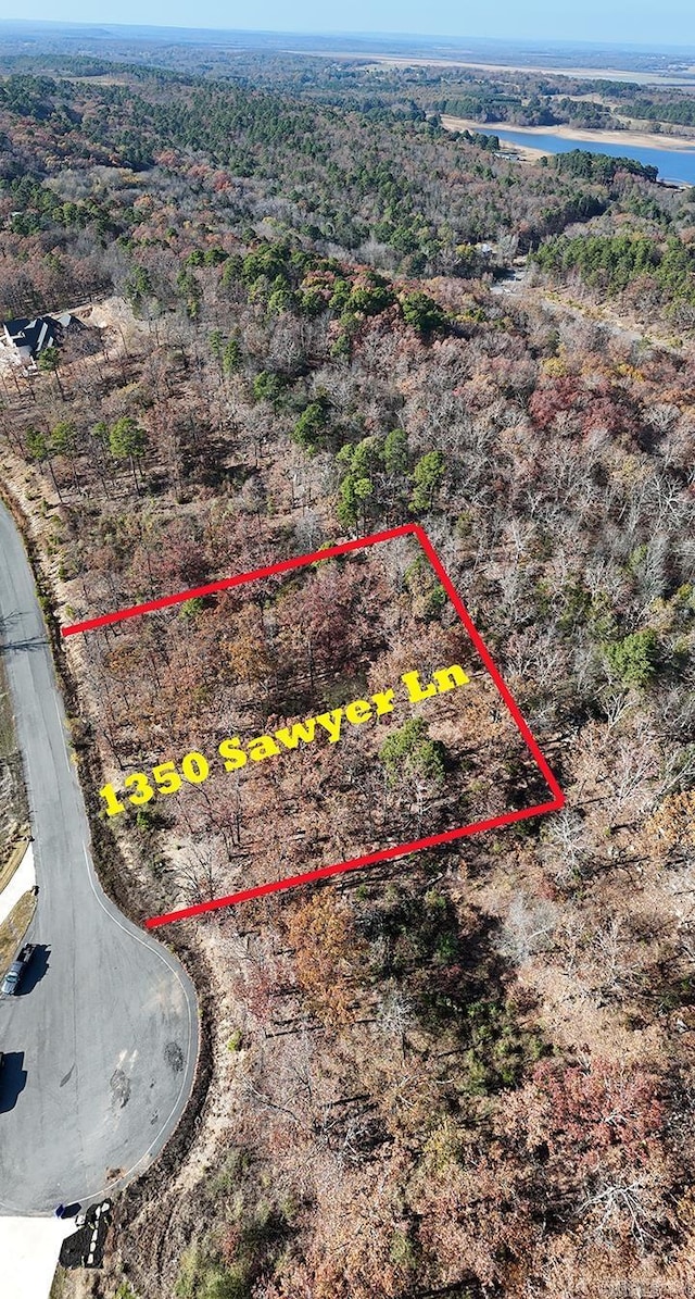 1350 Sawyer Ln, Conway, AR 72032