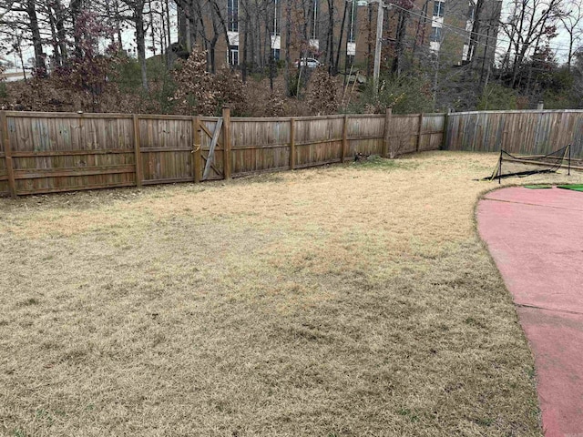 view of yard