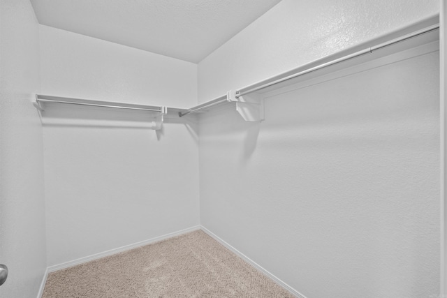 4114 Valles Rd, North Little Rock, AR 72118 - walk in closet with carpet floors