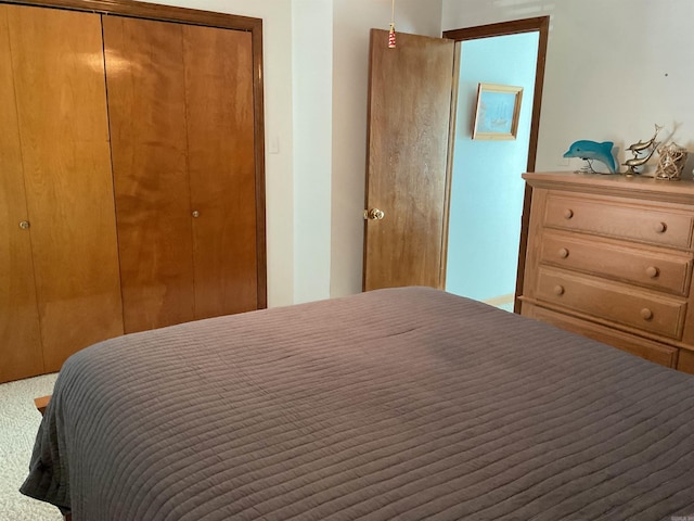 235 Sylvan Dr, Greers Ferry, AR 72067 - bedroom with a closet