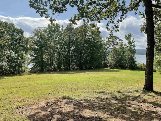 235 Sylvan Dr, Greers Ferry, AR 72067 - view of green lawn