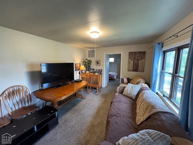 living room featuring carpet