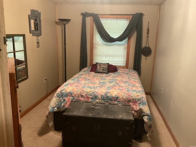 1602 Lake Clf, Higden, AR 72067 - bedroom featuring light colored carpet, multiple windows, and electric panel