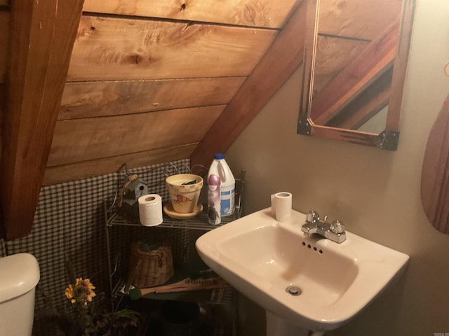 1602 Lake Clf, Higden, AR 72067 - bathroom featuring a sink and toilet