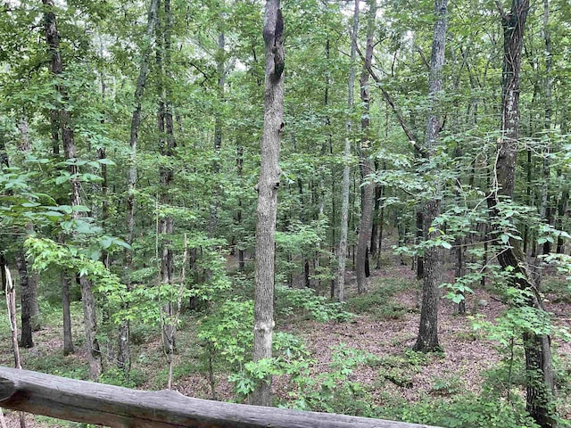 1602 Lake Clf, Higden, AR 72067 - view of woods