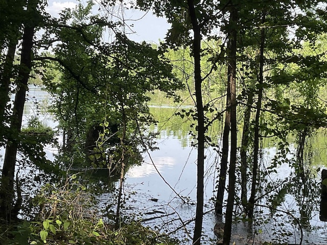 1602 Lake Clf, Higden, AR 72067 - water view