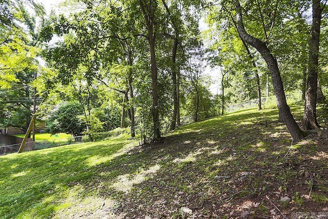 5 Brookridge Dr, Little Rock, AR 72205 - view of yard