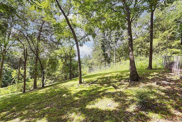 5 Brookridge Dr, Little Rock, AR 72205 - view of yard