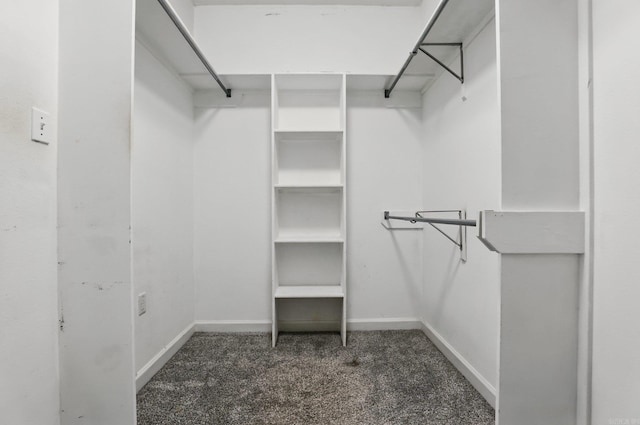 5017 Calico Creek Cv, North Little Rock, AR 72116 - walk in closet with carpet