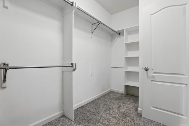 5017 Calico Creek Cv, North Little Rock, AR 72116 - spacious closet featuring carpet flooring