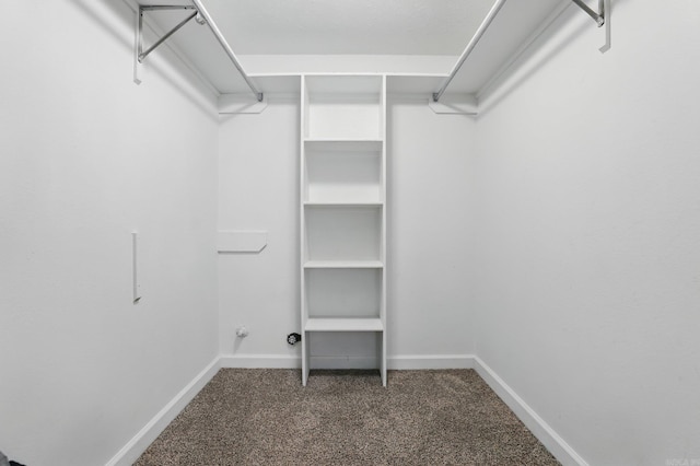 5017 Calico Creek Cv, North Little Rock, AR 72116 - walk in closet featuring carpet floors