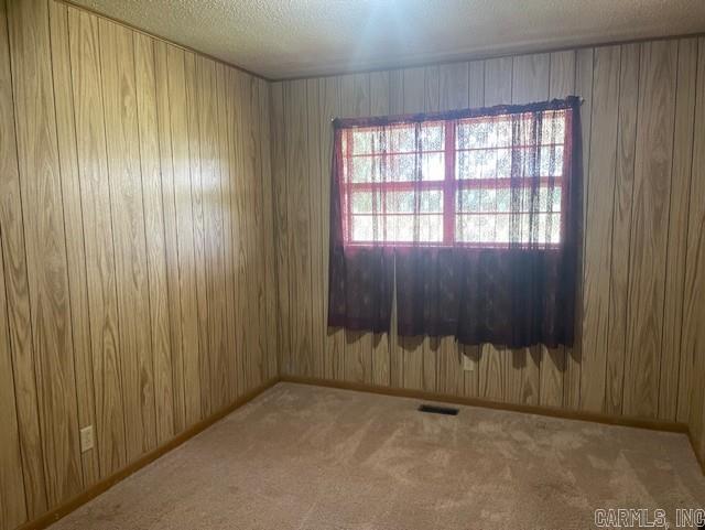 1995 Rosebud Rd, Quitman, AR 72131 - carpeted empty room featuring wood walls, baseboards, and a textured ceiling