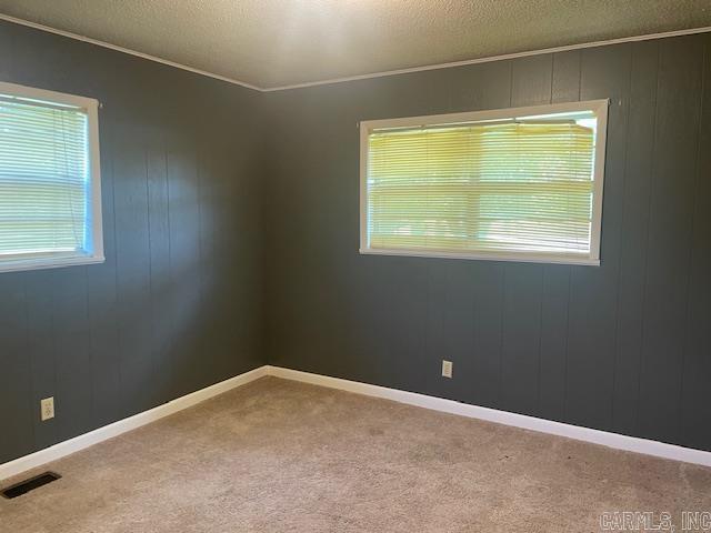 1995 Rosebud Rd, Quitman, AR 72131 - spare room with carpet floors, ornamental molding, and baseboards