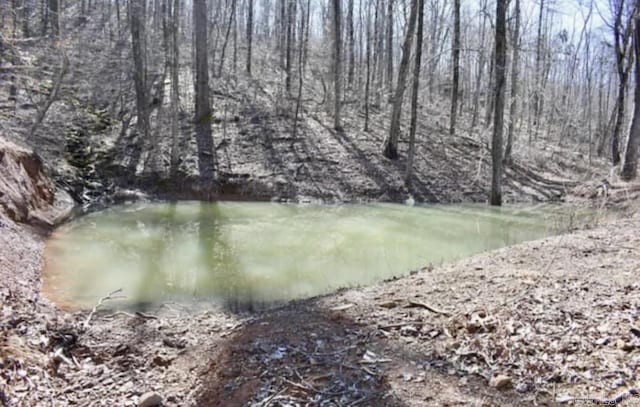5867 County Road 4160, Ozark, AR 72949 - water view