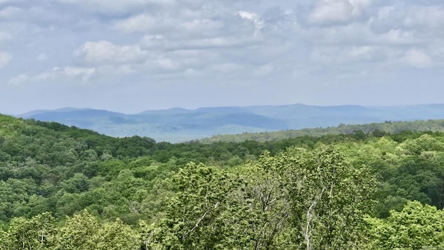5867 County Road 4160, Ozark, AR 72949 - mountain view featuring a forest