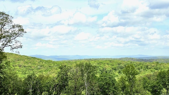 5867 County Road 4160, Ozark, AR 72949 - view of mountain backdrop featuring a heavily wooded area