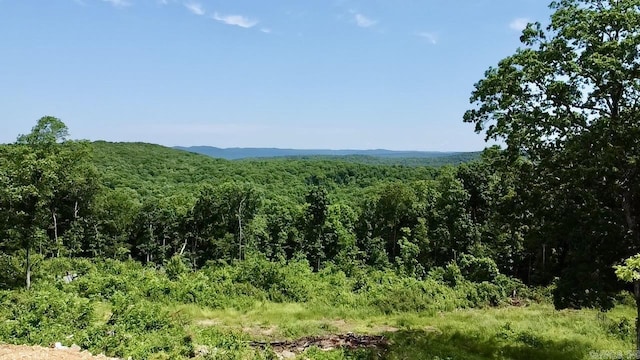5867 County Road 4160, Ozark, AR 72949 - view of mountain background featuring a heavily wooded area