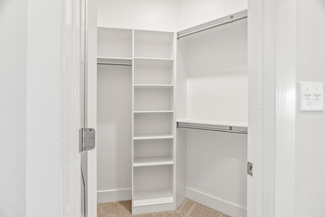 2333 Pleasant Cv, Conway, AR 72034 - spacious closet featuring carpet floors