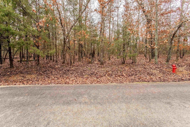 TBD San Ildefonso Cir, Cherokee Village, AR 72529