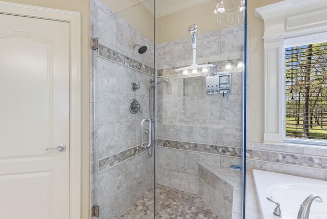 1606 Hilldale, Alexander, AR 72002 - bathroom featuring a stall shower, healthy amount of natural light, and a bath
