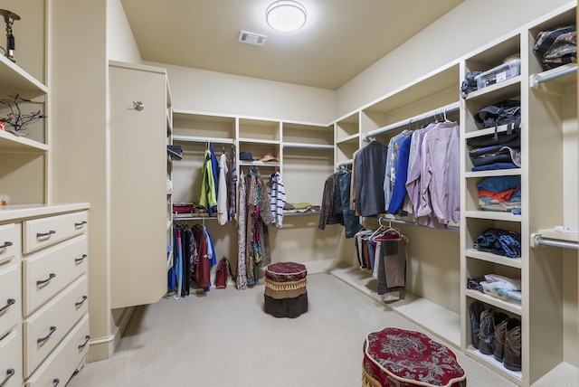 1606 Hilldale, Alexander, AR 72002 - spacious closet featuring carpet