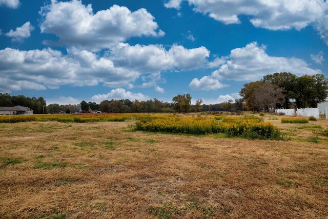 view of yard featuring a view of countryside