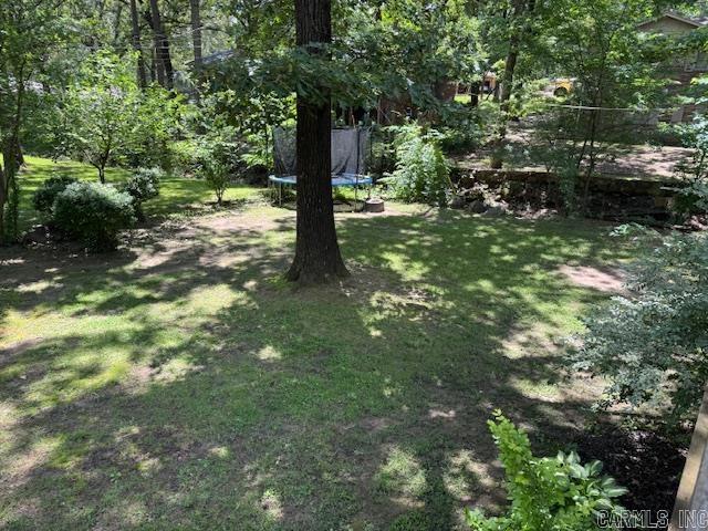 2012 Paula St, Pocahontas, AR 72455 - view of grassy yard featuring a trampoline