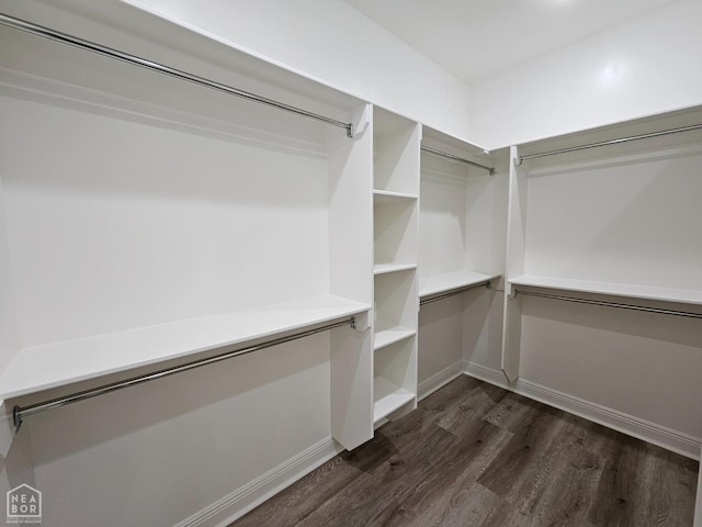 125 Hidden Creek Dr, Brookland, AR 72417 - spacious closet featuring dark wood-style floors