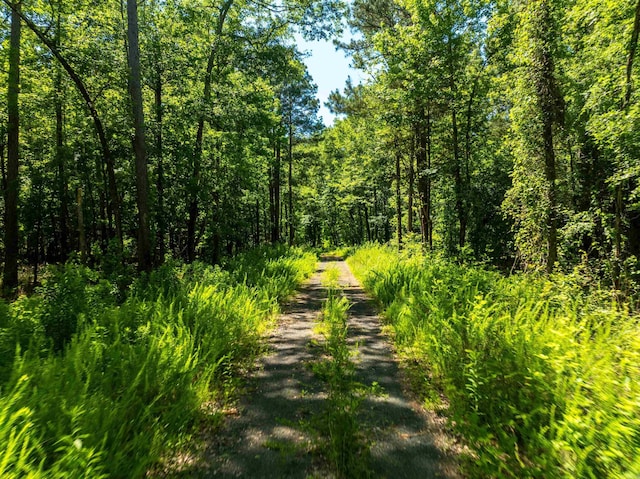 Listing photo - caption unavailable