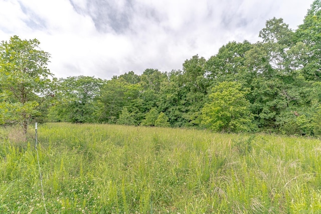 1788 Weatherstone Rd, Mammoth Spring, AR 72554 - view of wooded area